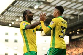 Luton striker Cameron Jerome during his time with Norwich City