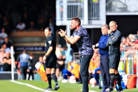 Luton boss Rob Edwards rallies his troops against Spurs recently - pic: Liam Smith