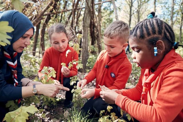 Finding out about nature with the Scouts