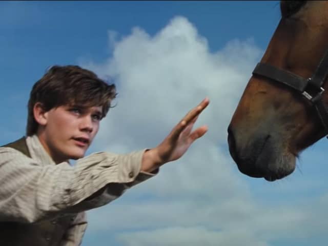 DreamWorks Pictures War Horse (2011)