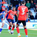 Town striker Carlton Morris holds the ball up against Blackburn Rovers