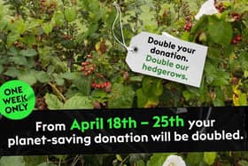 Double your donation. Double our hedgerows.
