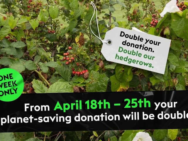 Double your donation. Double our hedgerows.