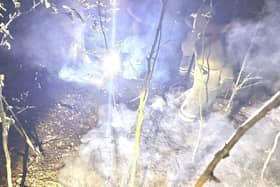 Smoldering embers in the woods. Picture: Dean Elcome