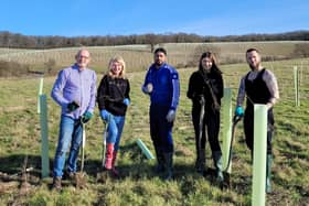 Members of The Mall Luton's management and security teams join forces to plant a selection of oak, hornbeam, wild cherry and alder trees at The Forest of Marston Vale Trust