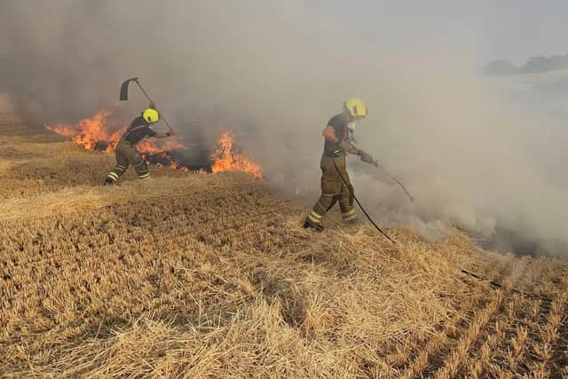 Firefighters tackle a crop fire.