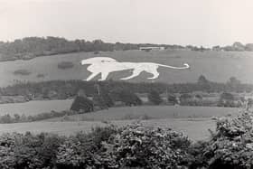 This is one of the earliest pictures of Whipsnade Zoo's famous chalk white lion, excavated in 1933