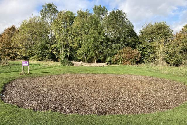 The children's play area set in Houghton Hall Park. A council survey inviting residents' input for the equipment they'd like to see there closes on December 31.