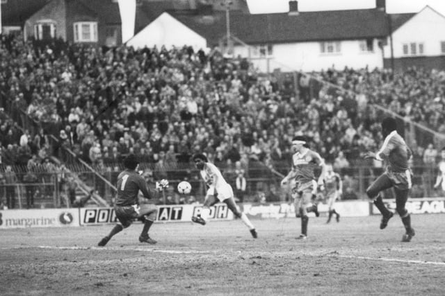 Luton eased to a fine success over their fellow strugglers at the Goldstone Ground. England international Ricky Hill scored twice, as the Seagulls also gave Town a huge helping hand, Gary Stevens and Jimmy Case both netting own goals.