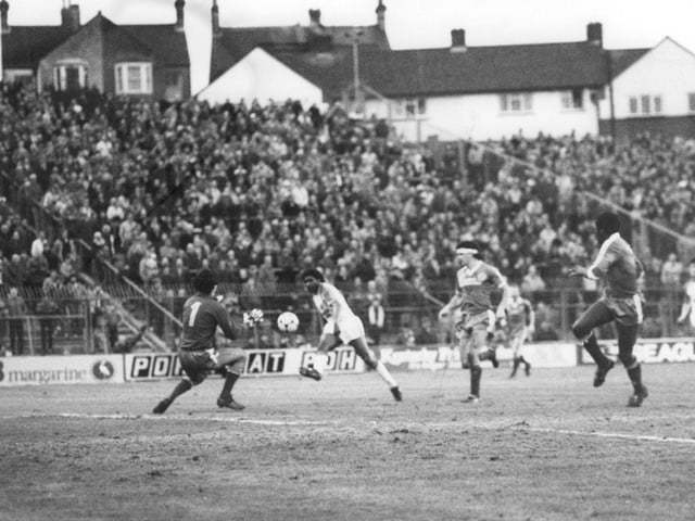Luton eased to a fine success over their fellow strugglers at the Goldstone Ground. England international Ricky Hill scored twice, as the Seagulls also gave Town a huge helping hand, Gary Stevens and Jimmy Case both netting own goals.