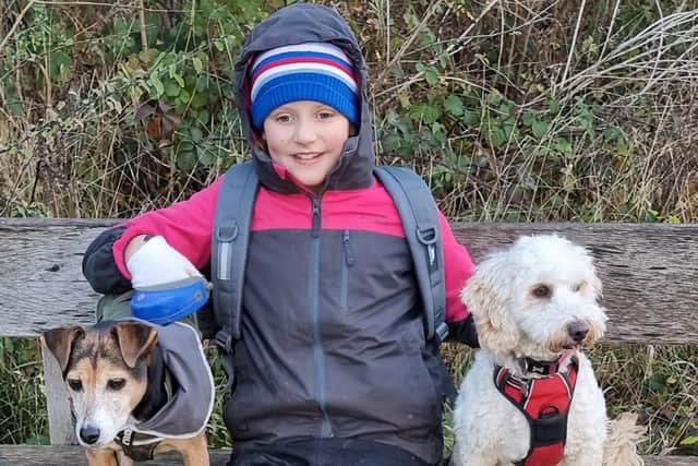 Harriet is raising money for Appledown Rescue and Rehoming Kennels