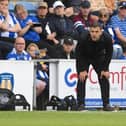 Hatters boss Jack Wilshere - pic: Andy Fitzsimons