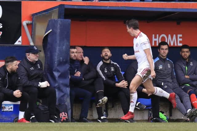 Sean McConville celebrates in front of the Hatters' dug out