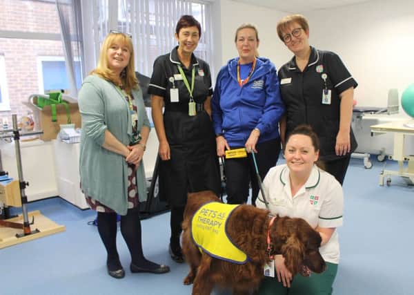 Pet and Patient interaction at the Luton and Dunstable Hospital