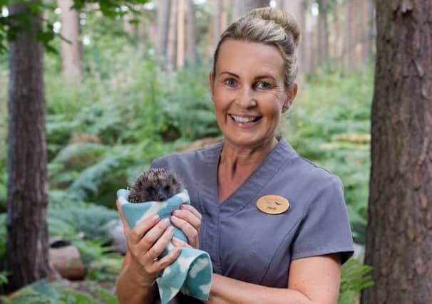 Heidi arranged to release some hogs in Center Parcs and peoples gardens.