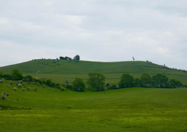 Pegsdon Hills. Photo by C Fitton