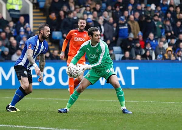 Town keeper James Shea rolls the ball out at Sheffield Wednesday