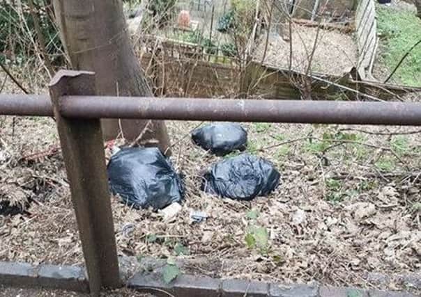 Black bags dumped on Hart Hill path last week