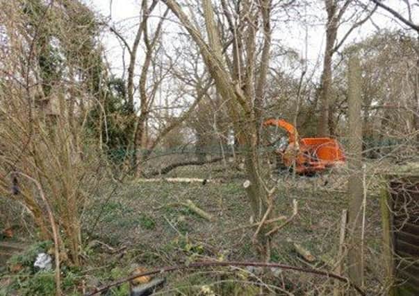 A digger clearing some trees and taking down the old fence.