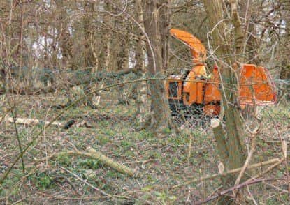 A digger in the woodland.