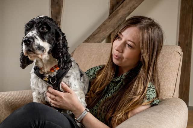 Dogs Trust provides foster homes for dogs of owners fleeing domestic abuse. Photo by Richard Murgatroyd Photography