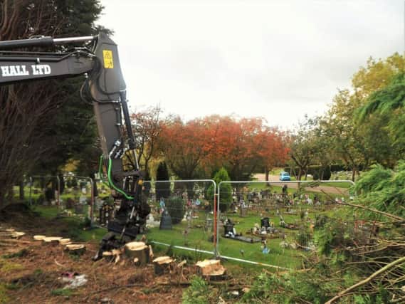 Trees are being felled next to the Vale Cemetery