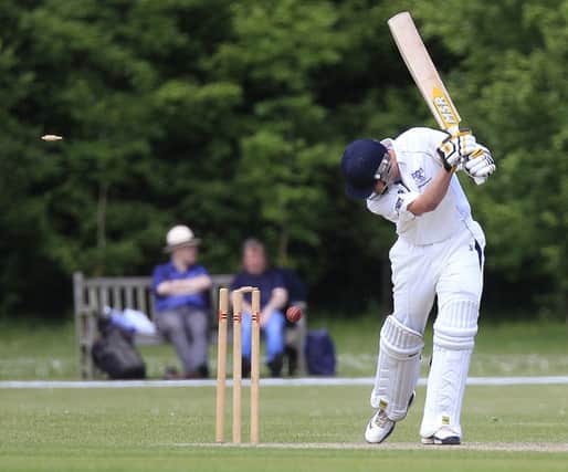 Bedfordshire batting. Photos by Liam Smith. wk 23.