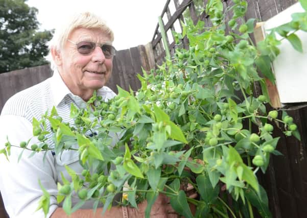 Toddington grandfather Nicholas Smithers with the plant he says deters moles