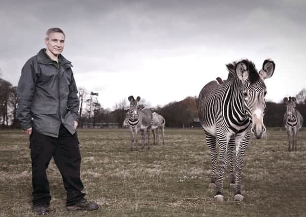 ZSL Whipsnade Zoo keeper Mark Holden in the zebra enclosure