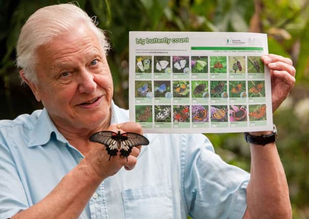Sir David Attenborough launches the Big Butterfly Count, at London Zoo. Wednesday 11 July 2012. UK