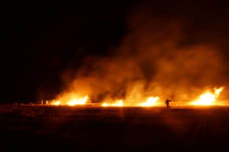 Fire in the corn field in Lewsey Farm. Photo by BFRS