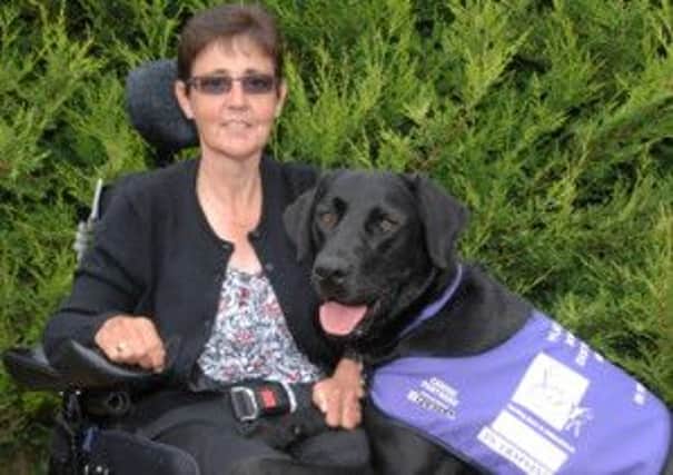 Nicki is an assistance dog that has helped Gwyneira change her life around