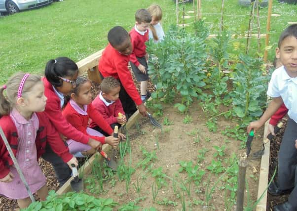 Garden project at Surrey Street Primary School, Luton.