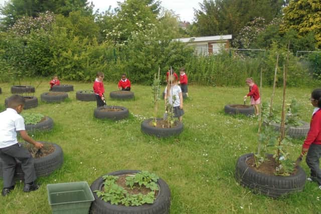 Surrey Street Primary School, Luton, garden project.