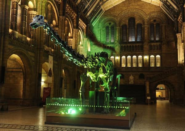 A venue near you could host Dippy should they have a big enough room