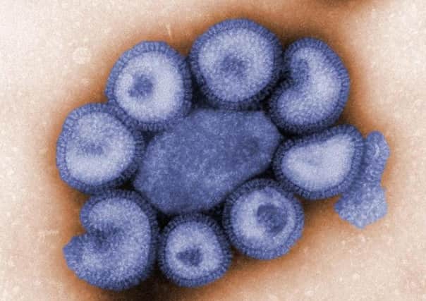 Swine flu case confirmed in Dunstable