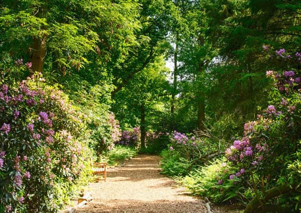 The Woodland Walk at Luton Hoo Walled Garden