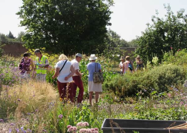 Luton Hoo Walled Garden is holding an autumn open day with plenty to keep youngsters entertained