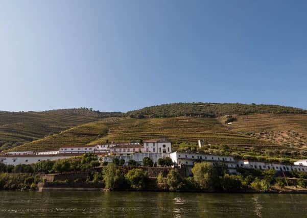 The vineyards along the Douro River, Portugal.
