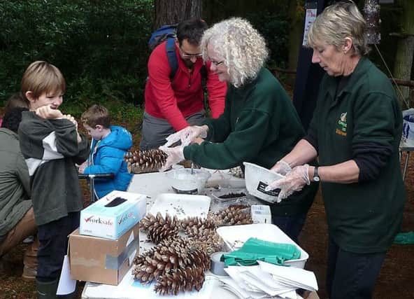 A Rushmere Feed the Birds event
