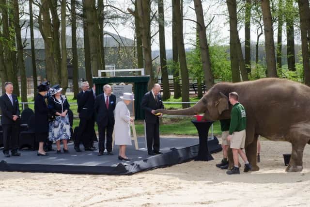 Her Majesty and His Royal Highness each fed Donna the elephant a banana.