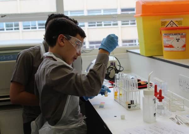 Pupils at the Festival of Chemistry