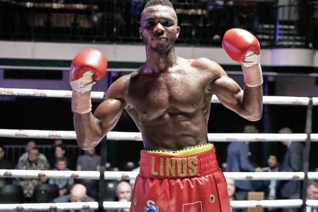 Victorious: Linus Udofia - pic: Natalie Mayhew, ButterflyBoxing